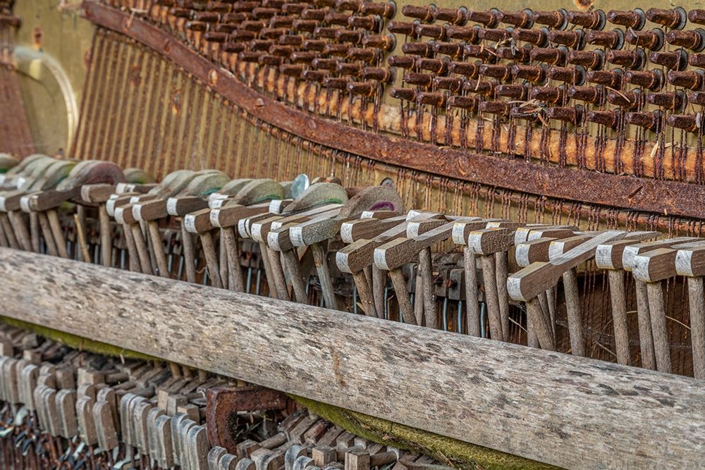 Alaska-Sitka Discarded Lindeman and Sons piano close-up